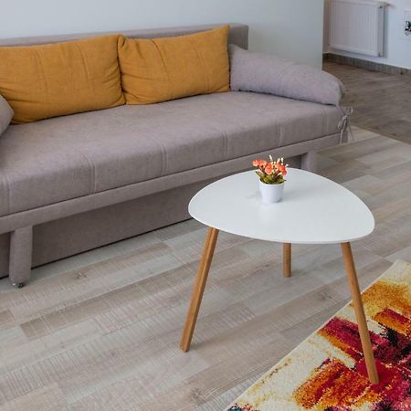 Friendly Rentals Брашов Экстерьер фото