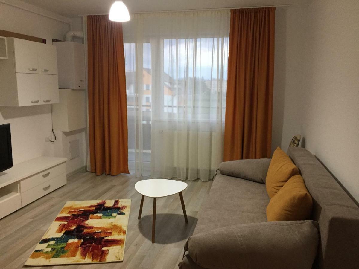 Friendly Rentals Брашов Экстерьер фото